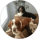 Melanie Smith profile picture