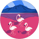 Ashley Lewis profile picture